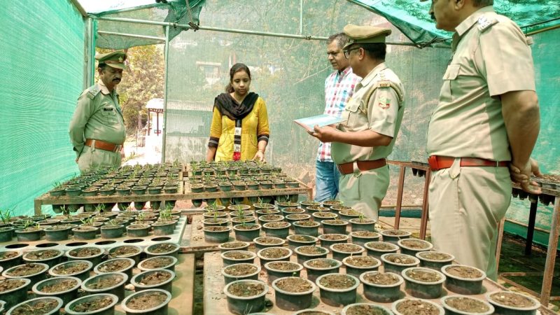 जिलाधिकारी ने फायर सीज़न के चलते क्रू स्टेशन डाइजर का निरीक्षण कर दिए आवश्यक दिशा निर्देश