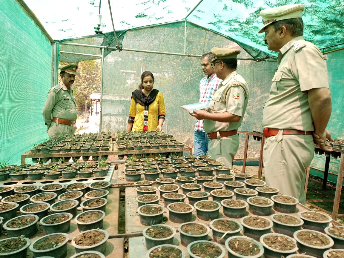 जिलाधिकारी ने फायर सीज़न के चलते क्रू स्टेशन डाइजर का निरीक्षण कर दिए आवश्यक दिशा निर्देश