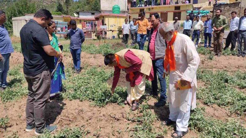 टिहरी विधायक उपाध्याय ने चम्बा मसूरी फल पट्टी का दौरा कर ओलावृष्टि से हुए नुकसान की भरपाई करने के दिए निर्देश