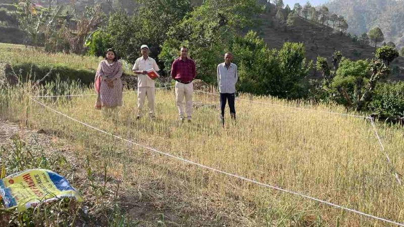 क्रॉप कटिंग के आधार पर ही फसल की औसत उत्पादन की मिलती है सटीक जानकारी-नमामि बंसल