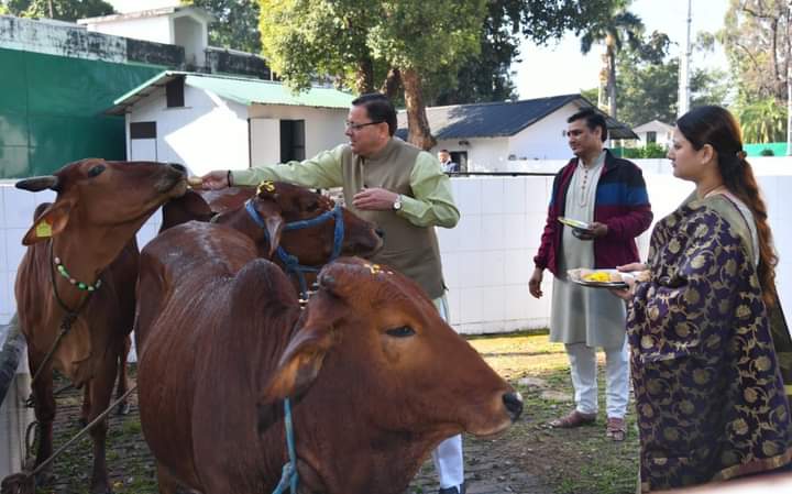 सीएम धामी ने गायों की पूजा कर प्रदेशवासियों की सुख-समृद्धि एवं खुशहाली की कामना की