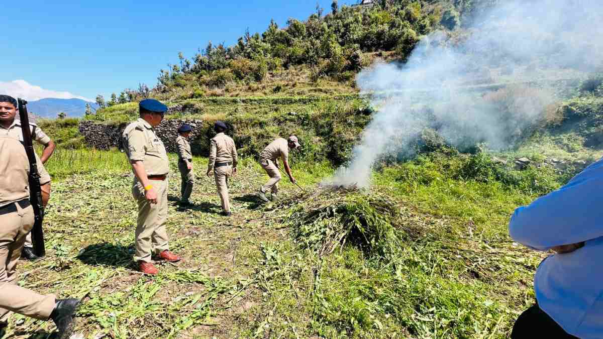 पुलिस ने डोडा पोस्त की फसल को किया नष्ट