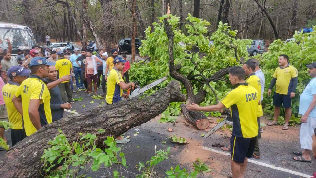 ऋषिकेश रानीपोखरी मार्ग कार के बोनट पर गिरा पेड़, एसडीआरएफ ने किया समाधान