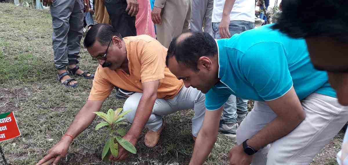 हरेला पर्व पर जनपद में किया बृहद वृक्षारोपण