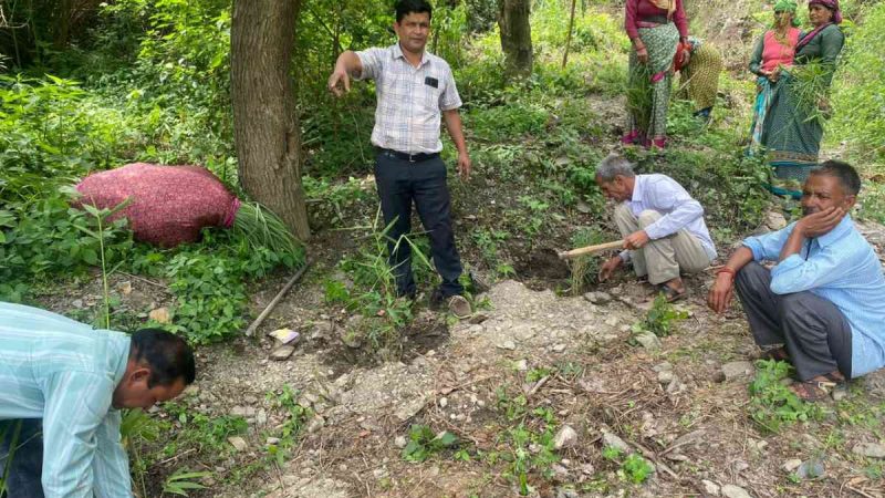 ग्राम पंचायत मरियाब में 500 बांस के पौधों का रोपण कार्य प्रारंभ