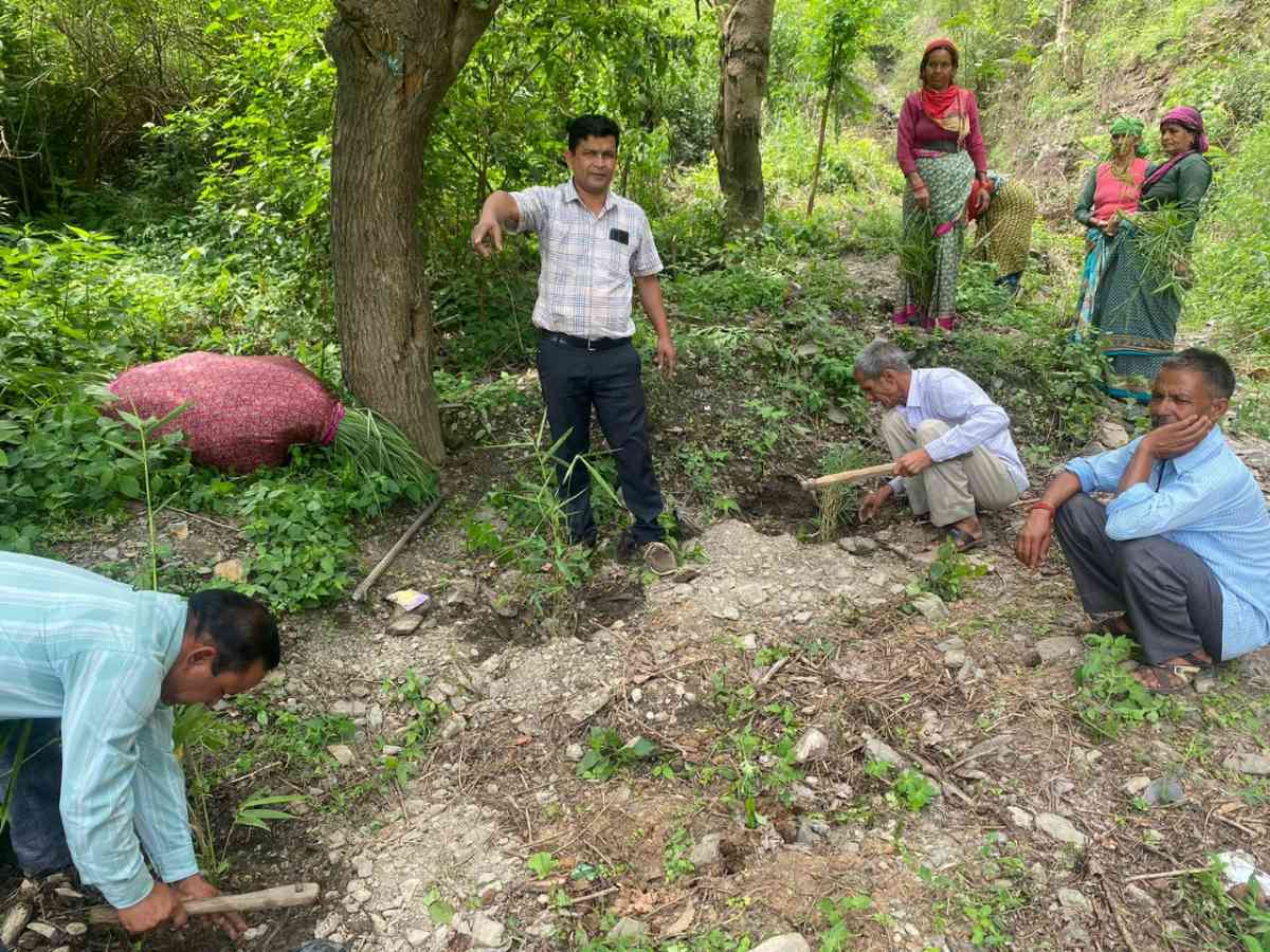 ग्राम पंचायत मरियाब में 500 बांस के पौधों का रोपण कार्य प्रारंभ