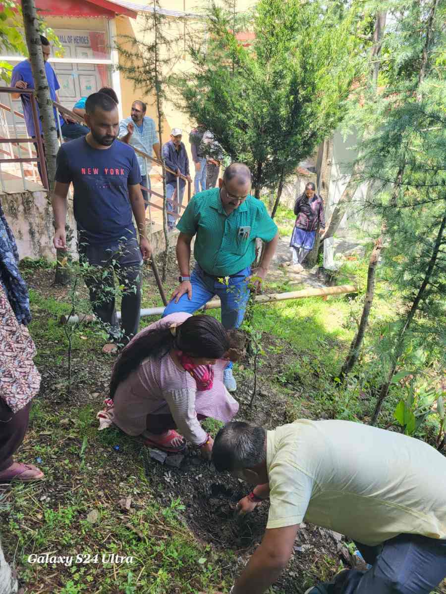 श्रीदेव सुमन उत्तराखंड विश्वविद्यालय में हरेला पर वृहद वृक्षारोपण