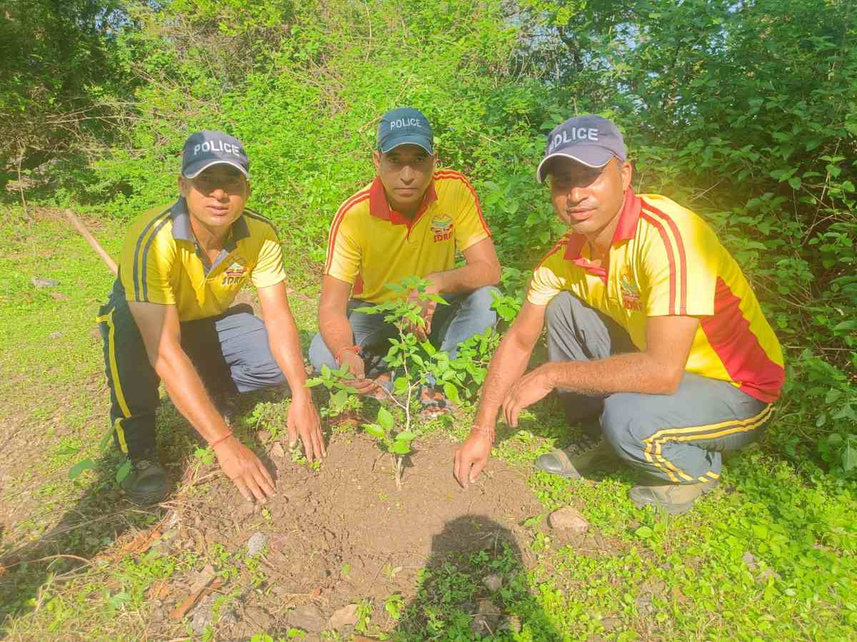 हरेला पर्व के अवसर पर SDRF टीम द्वारा वृक्षारोपण कार्यक्रम का आयोजन