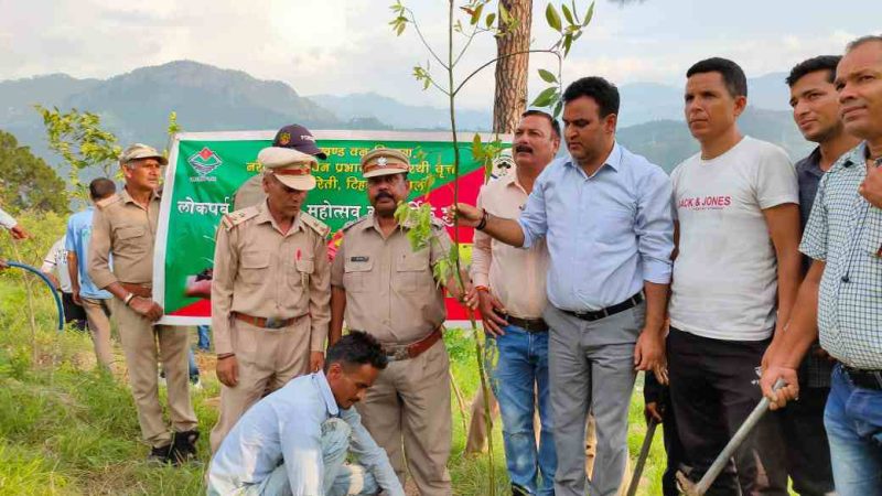विधायक कण्डारी ने कीर्तिनगर रेंज में तेजपात का पौधा लगाकर हरेला पखवाड़े का किया शुभारंभ