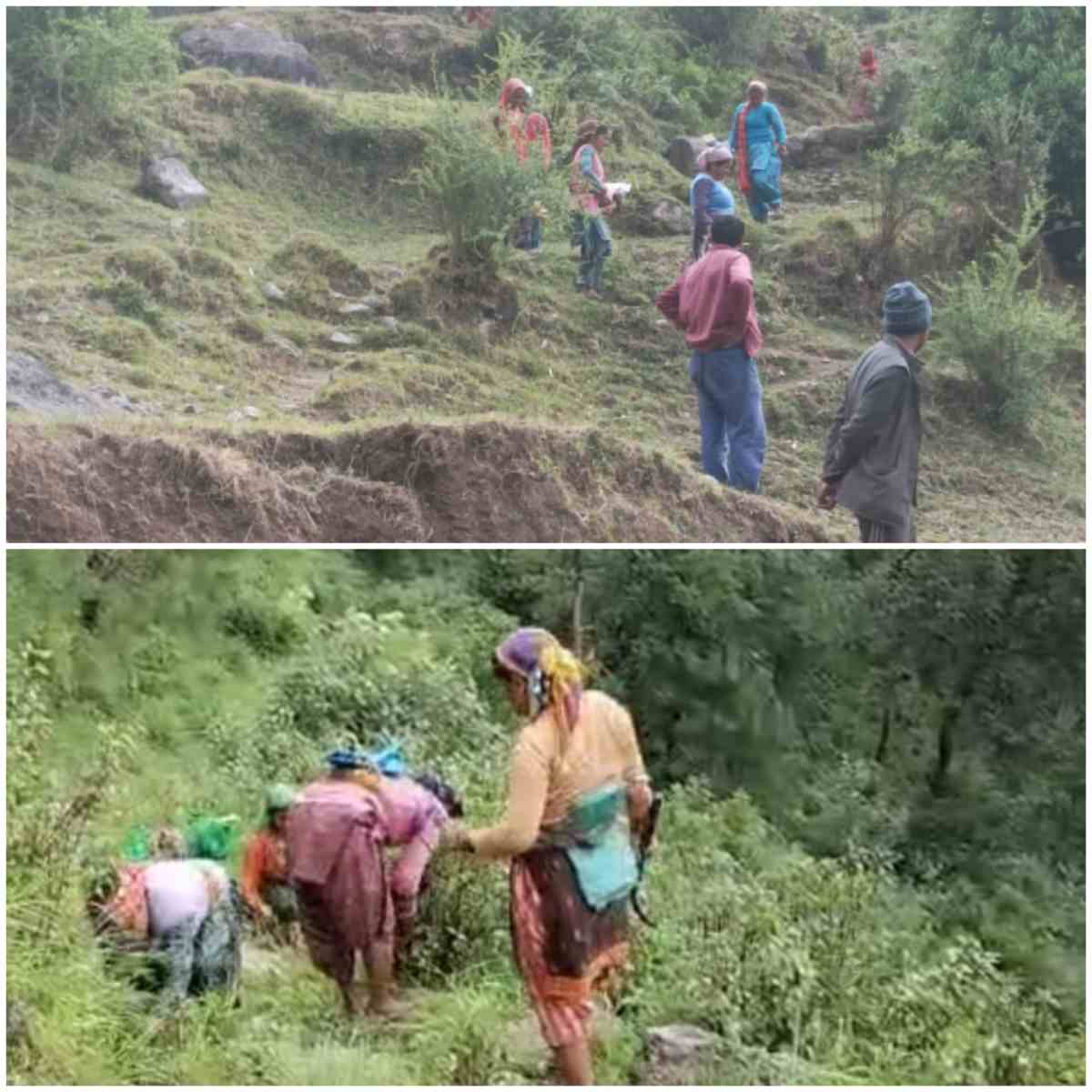 मनरेगा श्रमिकों के माध्यम से आपदाग्रस्त क्षेत्रों में सम्पर्क मार्गों और पुलिया के सुधारीकरण का कार्य जारी