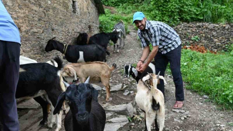 प्रतिभावान नरेश सजवाण ने नौकरी छोड़कर स्वरोजगार को दिया महत्व: युवाओं को कर रहे हैं प्रेरित