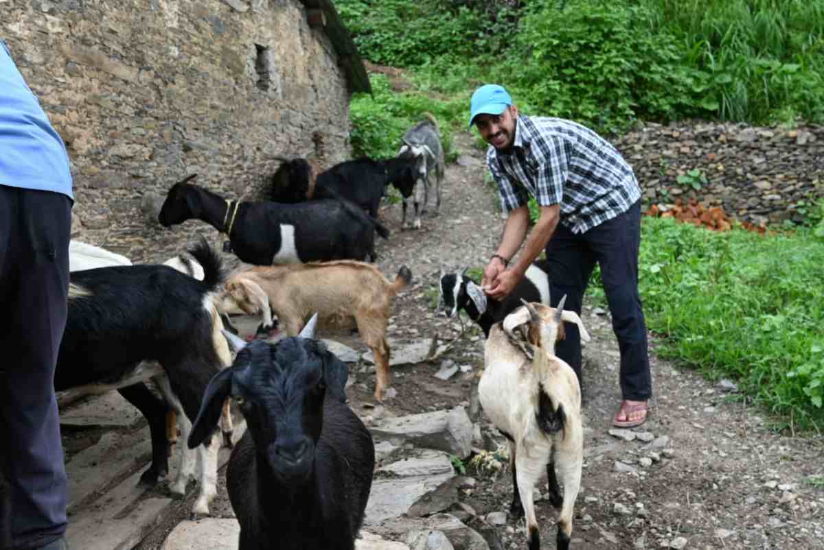 प्रतिभावान नरेश सजवाण ने नौकरी छोड़कर स्वरोजगार को दिया महत्व: युवाओं को कर रहे हैं प्रेरित