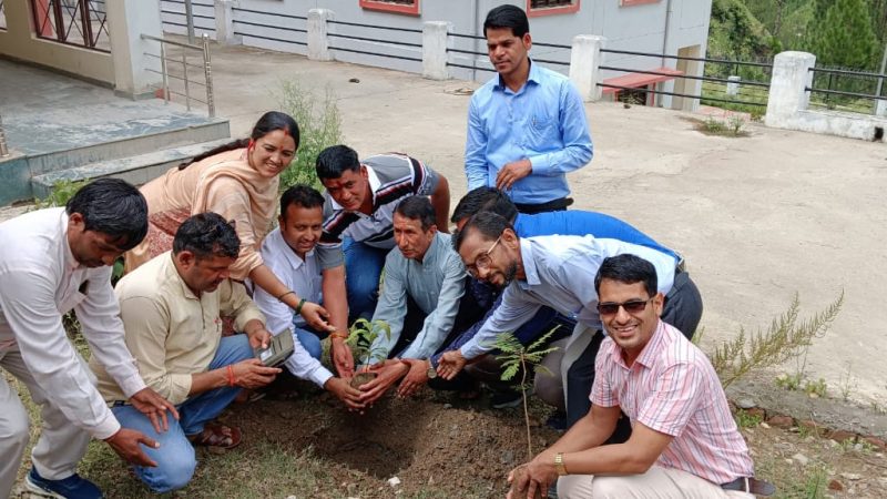 राजकीय व्यावसायिक महाविद्यालय पैठाणी में वृक्षारोपण कार्यक्रम का आयोजन