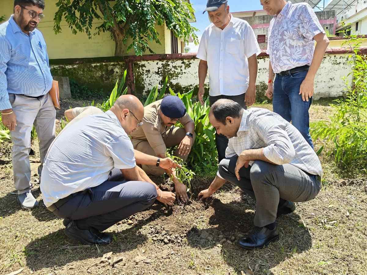 हरेला पर्व पर चंपावत में महापौधारोपण अभियान शुरू, “एक पेड़ माँ के नाम” से शुभारंभ