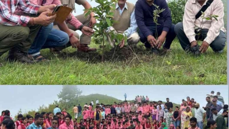 हिंडोलाखाल में सामूहिक वृक्षारोपण अभियान, 427 नागरिकों की सहभागिता