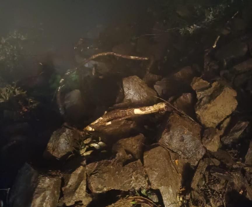 ऋषिकेश-चंबा हाईवे बंद, कुंजापुरी के पास पेड़ गिरने से यातायात ठप