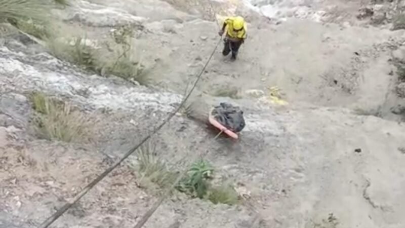 ब्रेकिंग: तोता घाटी के पास पिकअप वाहन दुर्घटनाग्रस्त, SDRF ने खाई से तीन शव निकाले