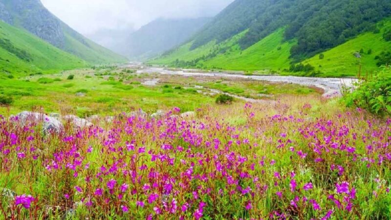 फूलों की घाटी पर्यटकों के लिए हुई बंद