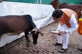 सीएम धामी ने की गोवर्धन पूजा, बोले—गौ संरक्षण और सेवा हमारी संस्कृति की पहचान